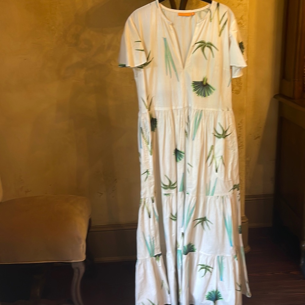 Oliphant maxi dress